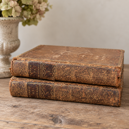 Antique French Raynal Books – Two Volume Set, 1782
