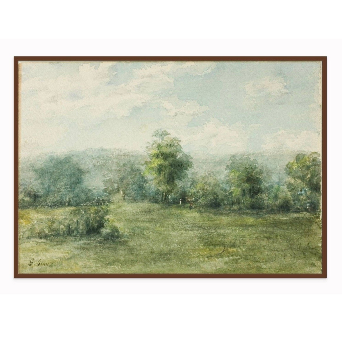 Calm Field Canvas