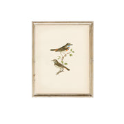 Vintage Art Print- Birds (framed)