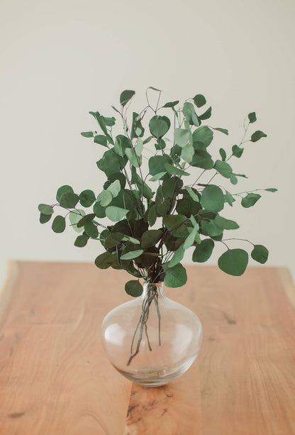 Green Silver Dollar Eucalyptus Bundle
