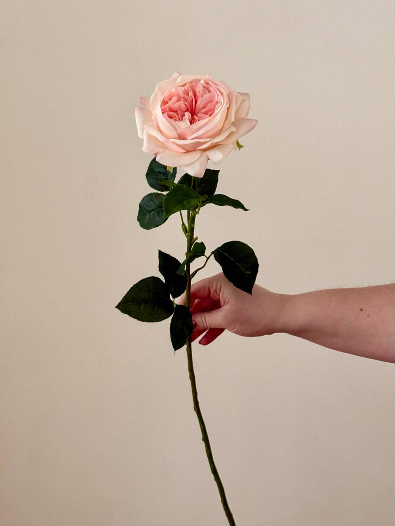 Real Touch Austin Rose