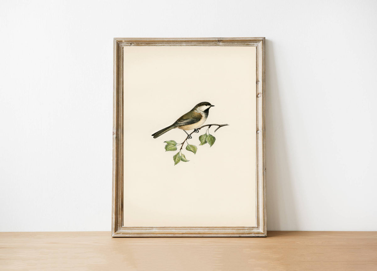 Vintage Art Print (framed)