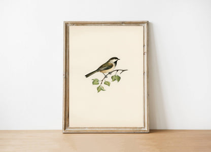 Vintage Art Print (framed)