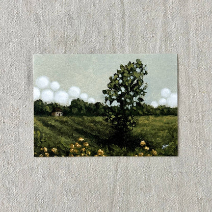 "The Linden Tree" Fine Art Print (framed)
