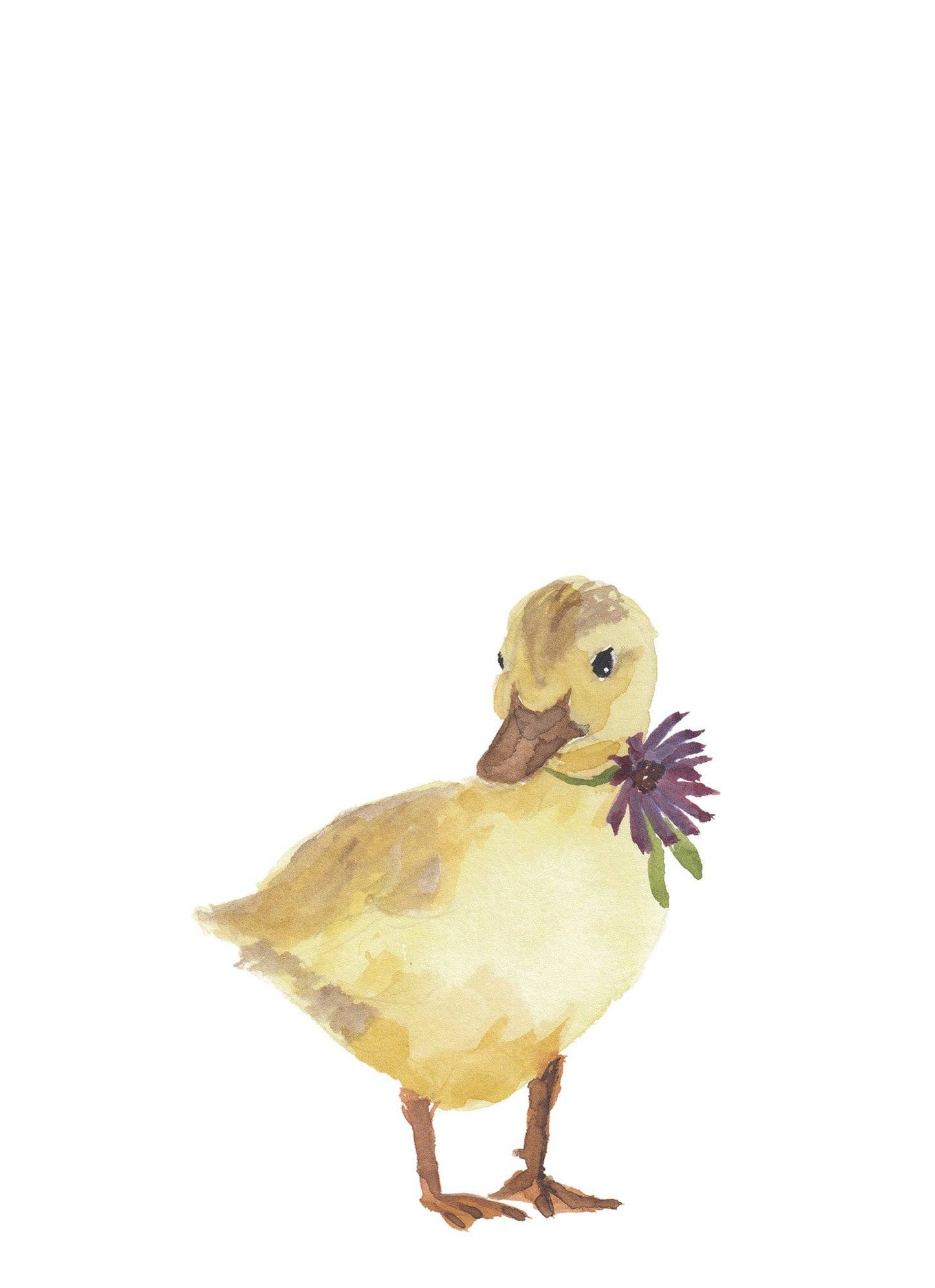 Canard - Linge de maison / Duck Kitchen Linen