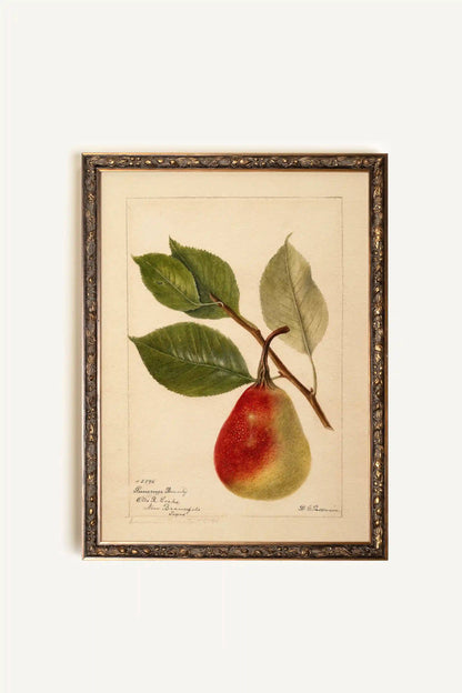 Nectar of the Season, Rigid Canvas, Vintage Bronze Frame