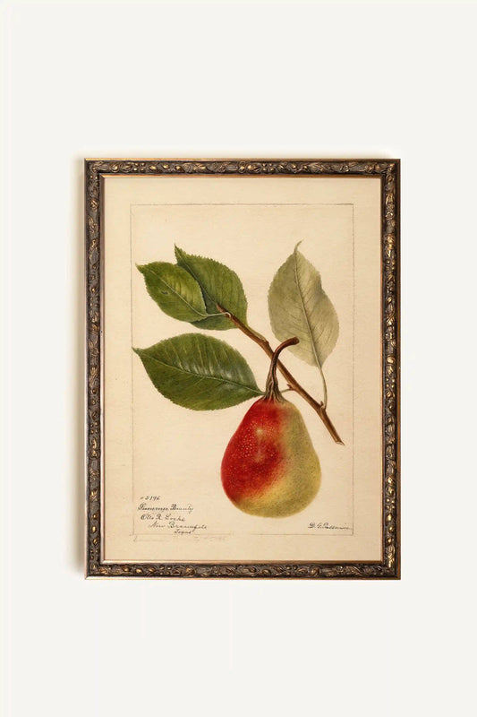 Nectar of the Season, Rigid Canvas, Vintage Bronze Frame