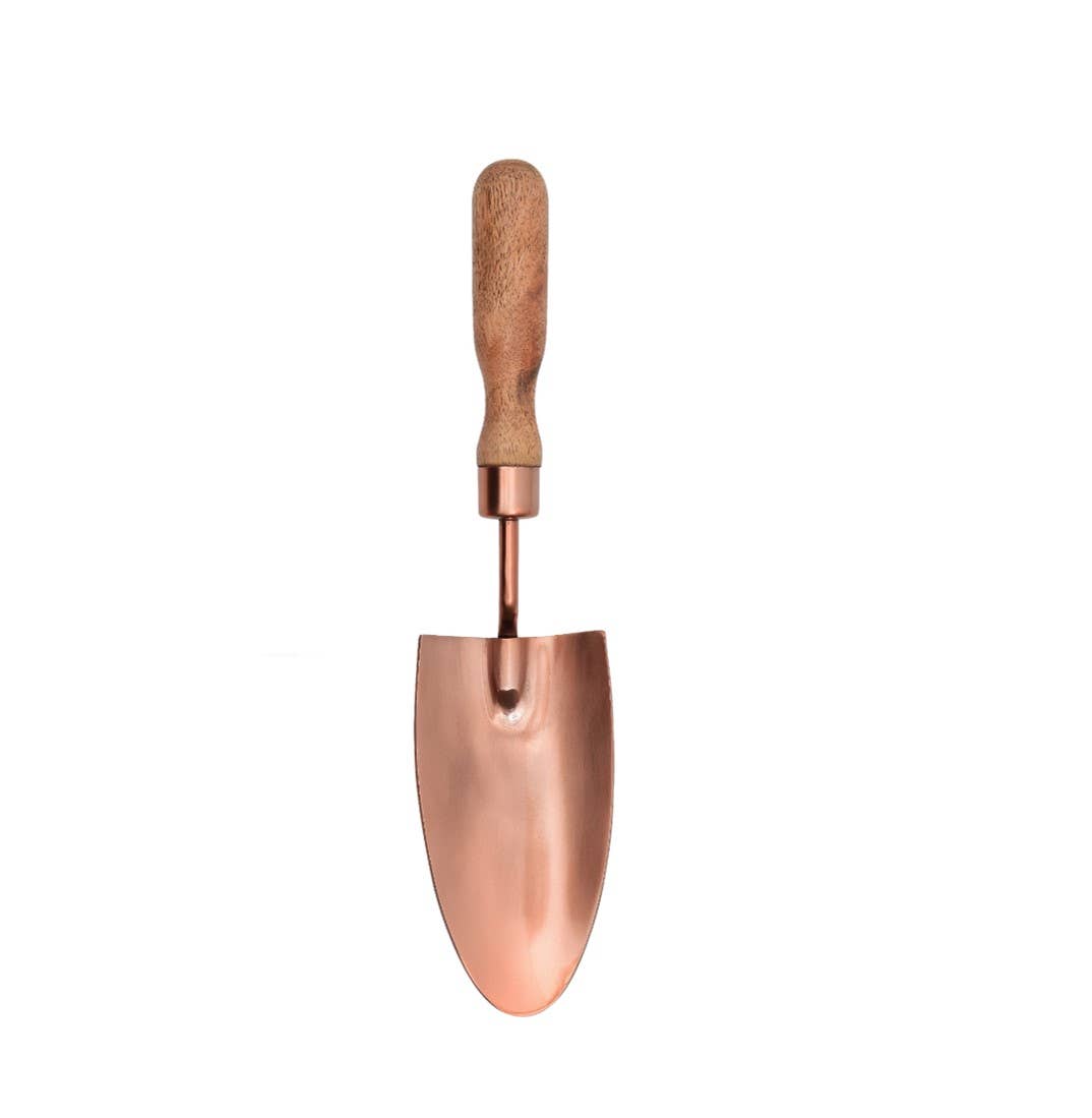 Dana sharp trowel