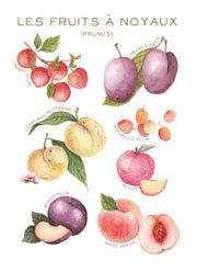 Les Fruits a noyaux - Linge de maison / Kitchen Linen