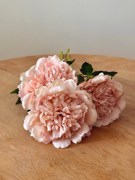 Real Touch Mountain Peony