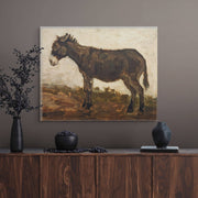 A Study of a Donkey: Grey / M framed 20 x 30
