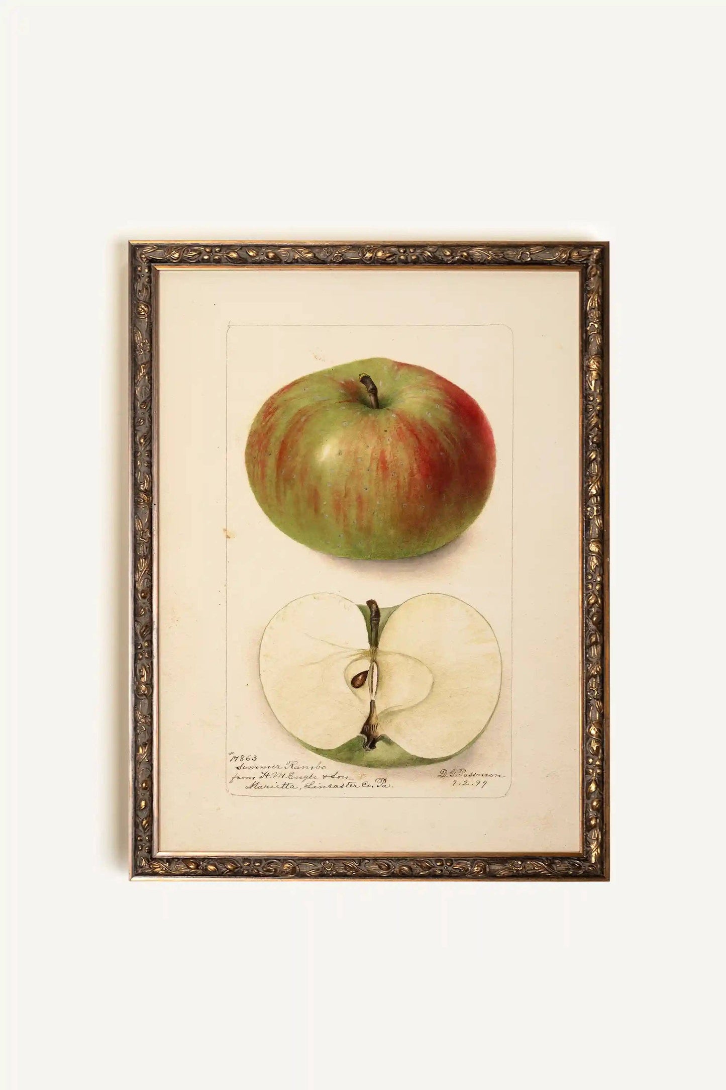 Vintage Framed Rigid Canvas
Bronze, A Taste of the Past