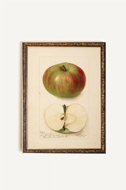 Vintage Framed Rigid Canvas
Bronze, A Taste of the Past