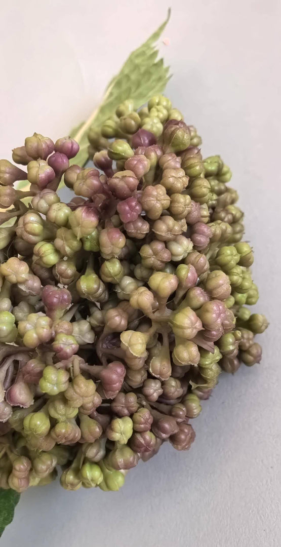 Berry Fruit Hydrangea Bud Red/Green