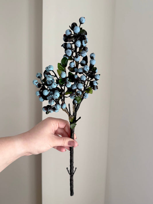 Blue Juniper Berry Stem